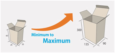 Vertical Cartoner Packaging